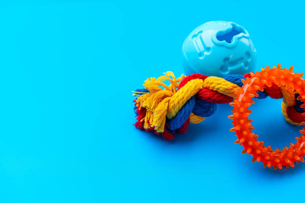 Colorful rope and chew toys for pets on a bright blue background showcasing smart pet accessories.